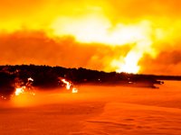 Island 2014-081